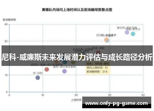尼科-威廉斯未来发展潜力评估与成长路径分析