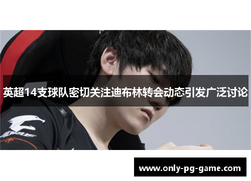 英超14支球队密切关注迪布林转会动态引发广泛讨论